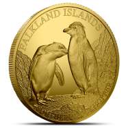 2026 1/10 oz Proof Falkland Islands Gold Southern Rockhopper Penguin Coin